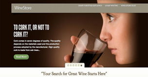 20個簡約的電子商務(wù)網(wǎng)站設(shè)計